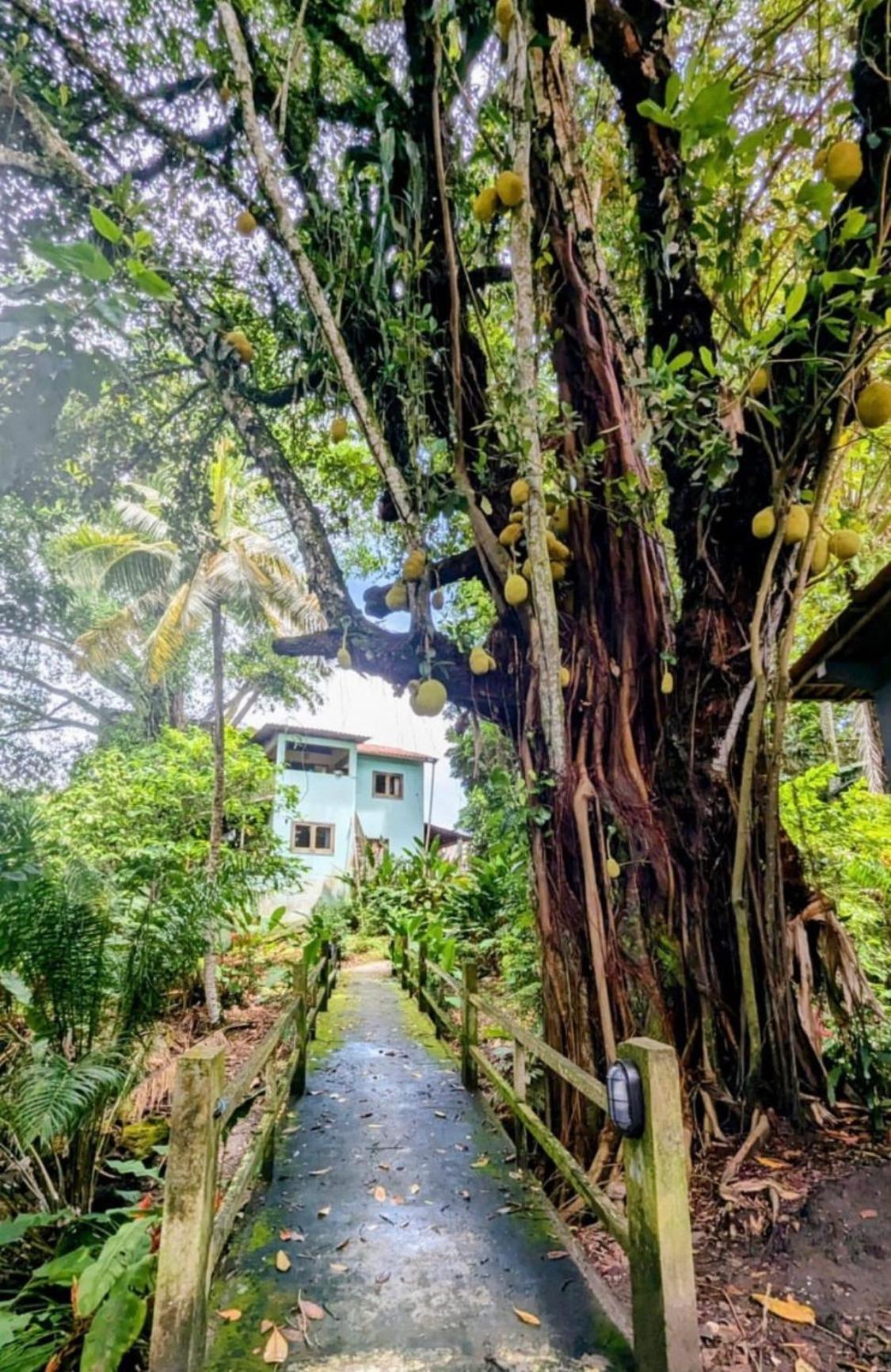 Alecrim Hostel E Pousada Velha Boipeba Ngoại thất bức ảnh